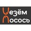 Везём Лосось
